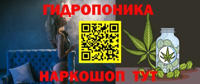 амф Лесосибирск