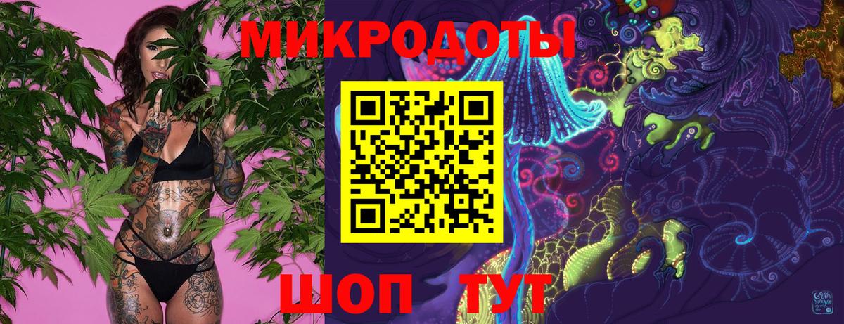 Галлюциногенные грибы Psilocybine cubensis Энгельс